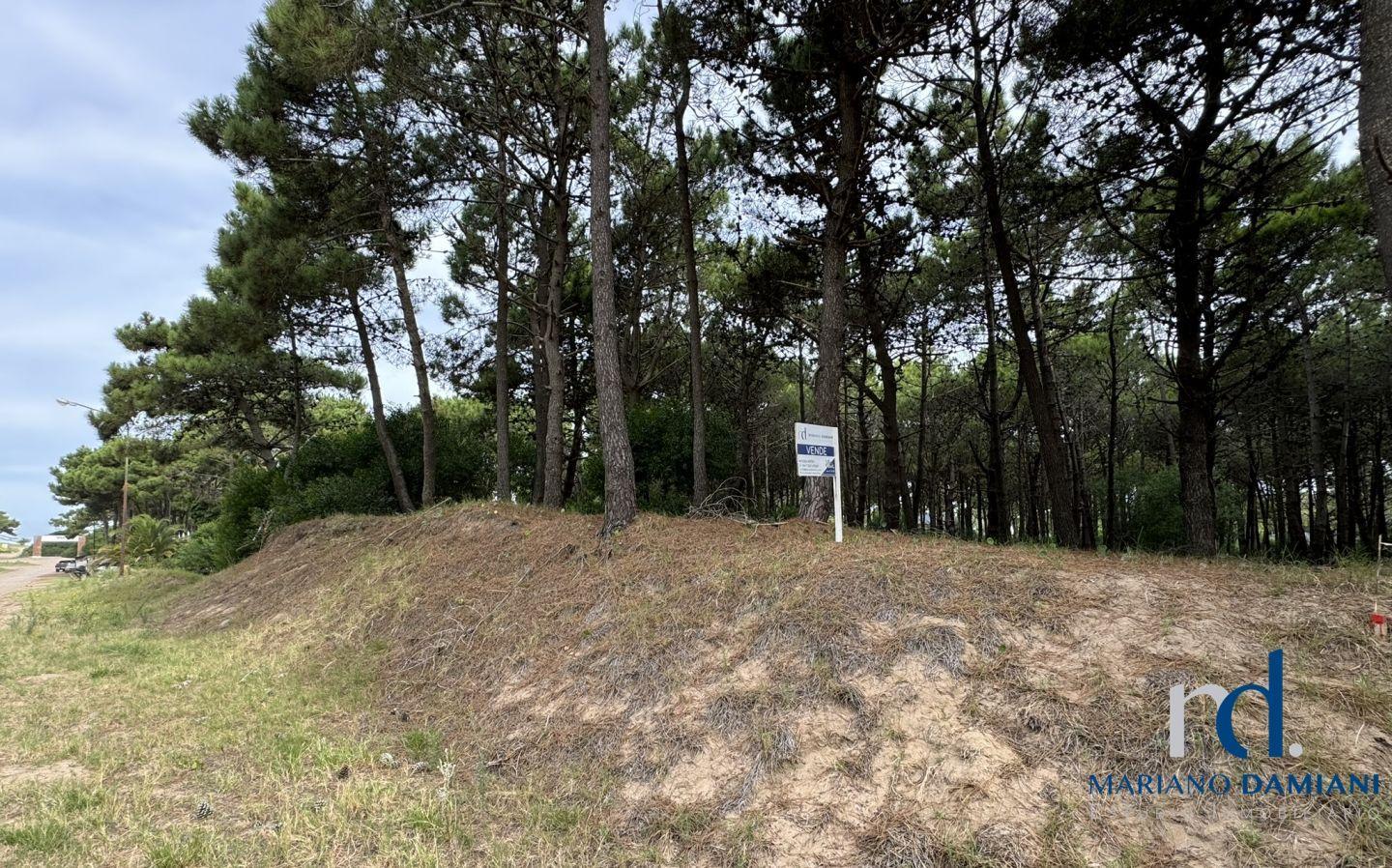 Lote en Venta en Pinamar Zona Norte Playa