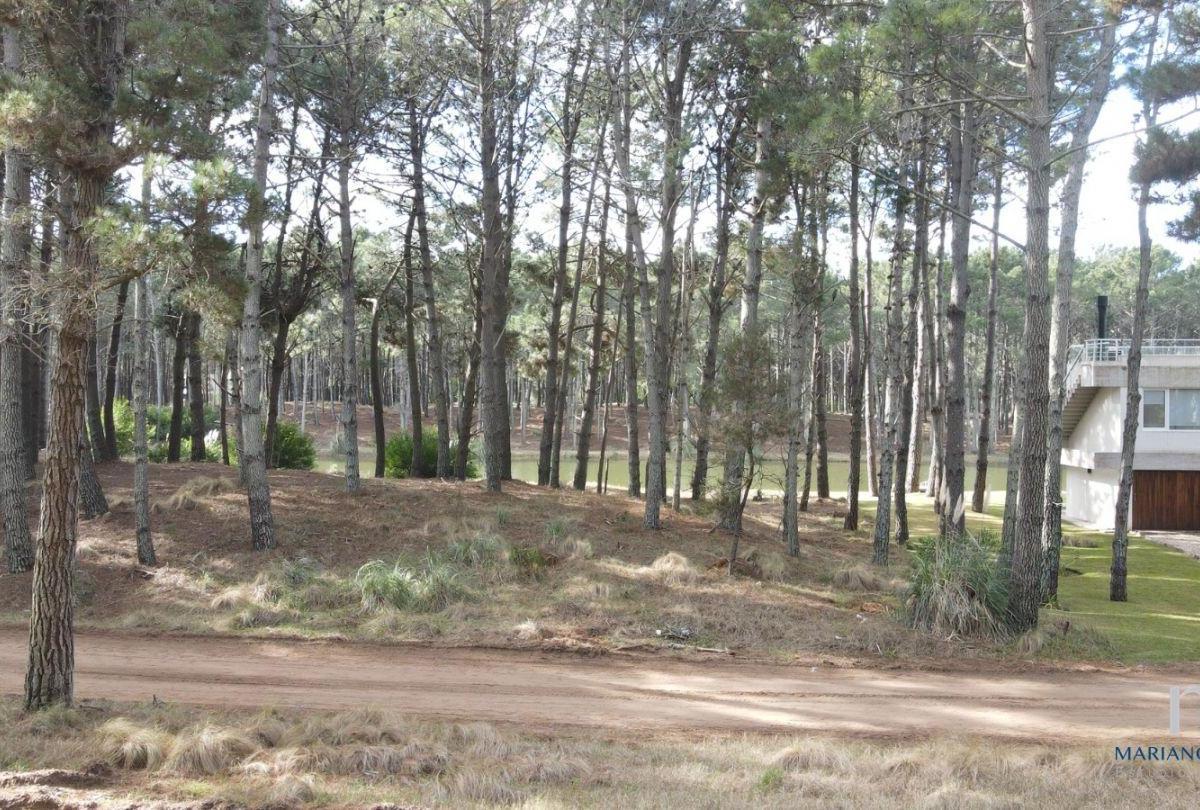Lote. | Barrio 2 Al 500 1