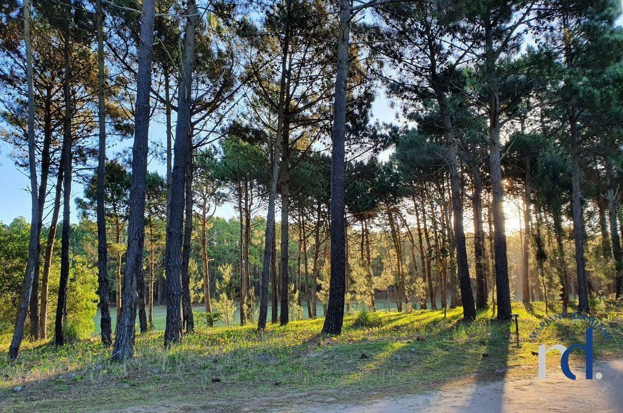 Lote en Venta en Pinamar Isla del Golf