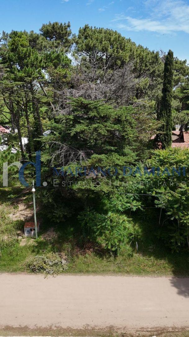 Foto de Lote Multifamiliar en Venta en Valeria del Mar, imagen 5