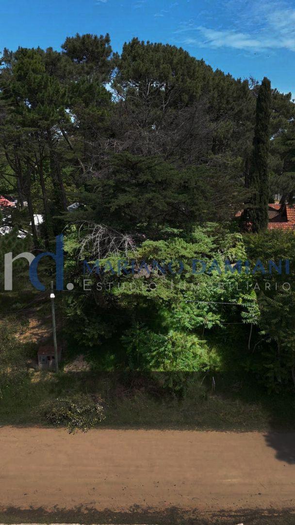 Foto de Lote Multifamiliar en Venta en Valeria del Mar, imagen 4