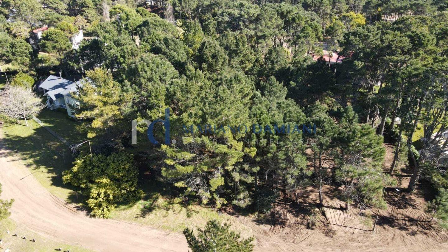 Foto de Lote Unifamiliar en Venta en Pinamar Zona Alamos, imagen 5