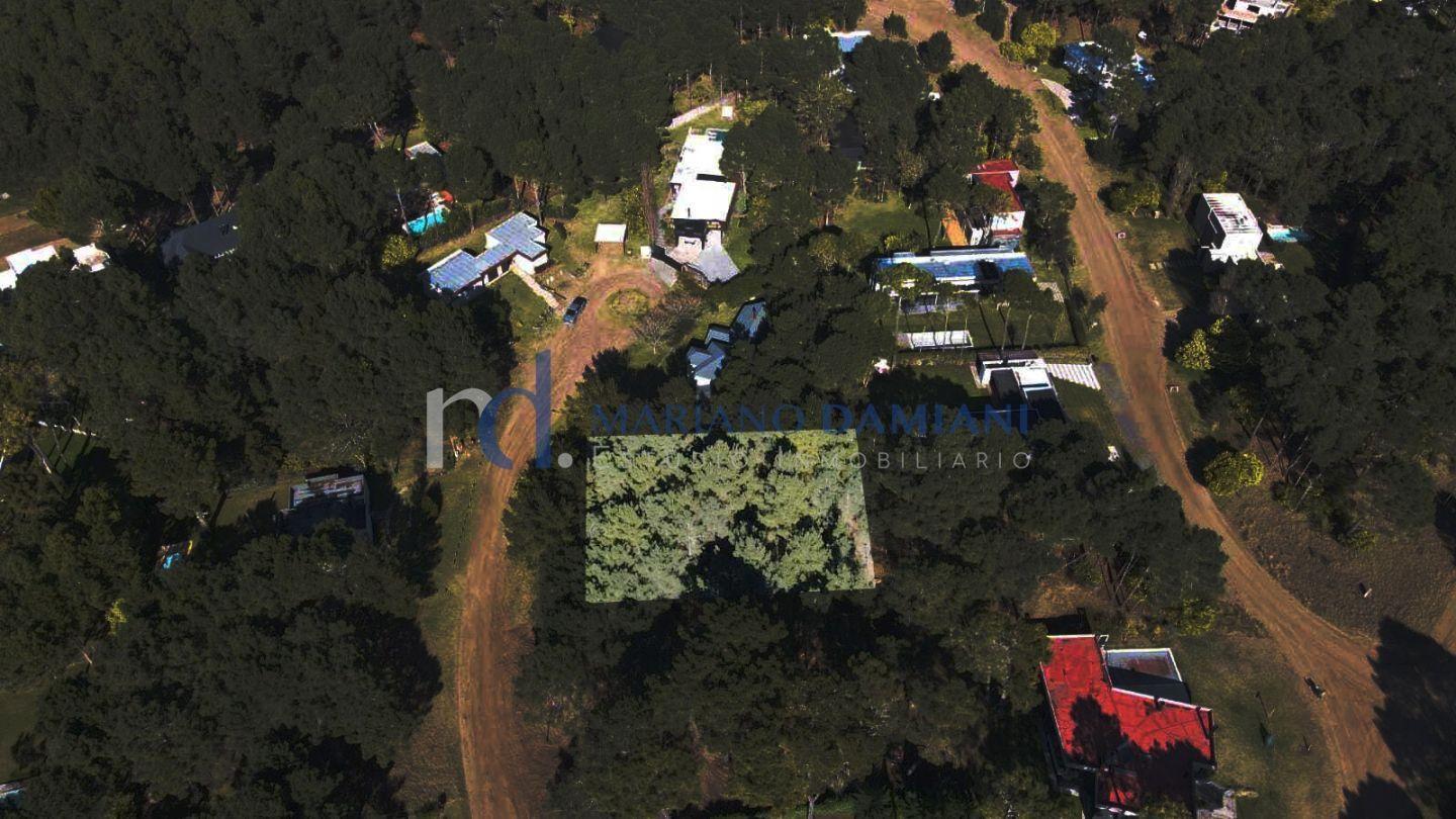Foto de Lote Unifamiliar en Venta en Pinamar Zona Alamos, imagen 3