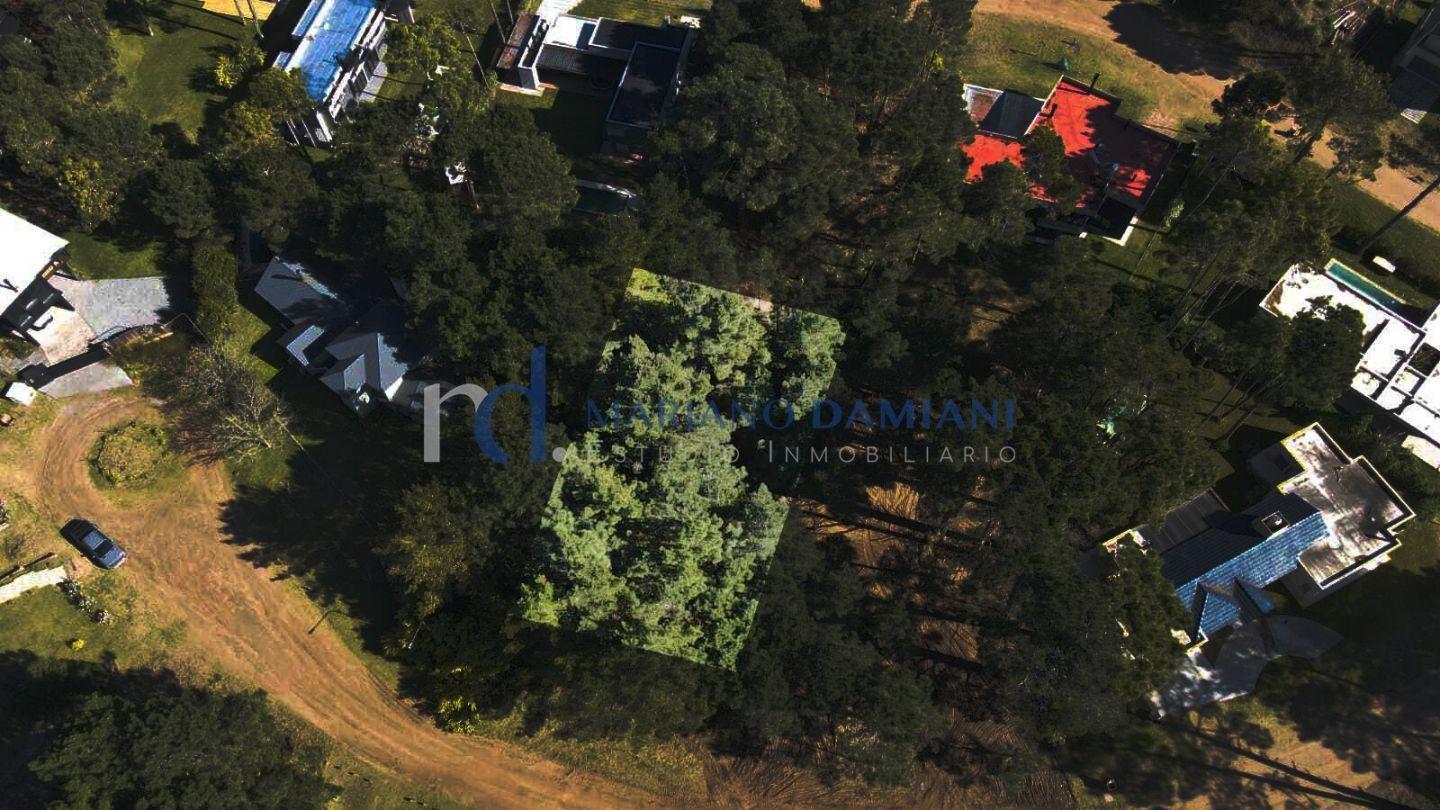 Foto de Lote Unifamiliar en Venta en Pinamar Zona Alamos, imagen 4