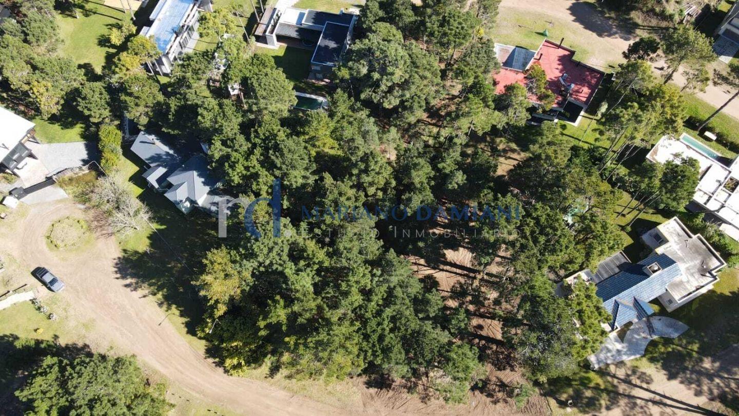 Foto de Lote Unifamiliar en Venta en Pinamar Zona Alamos, imagen 5