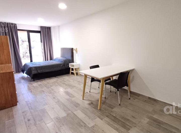 Departamento  San Telmo monoambiente Plaza Dorrego  Alquiler 5