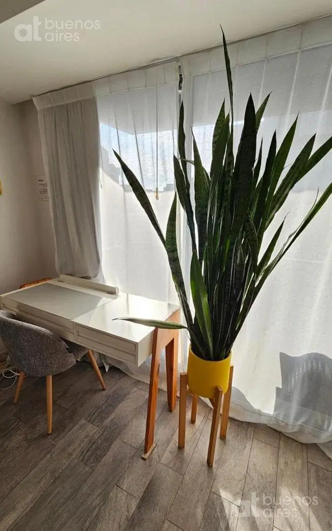 Departamento monoambiente en San Telmo para alquiler temporal 3