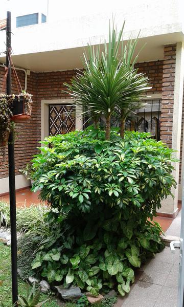 Venta PH 4 Amb 150 m² Parrilla Quincho Valentin Alsina Lanus 1