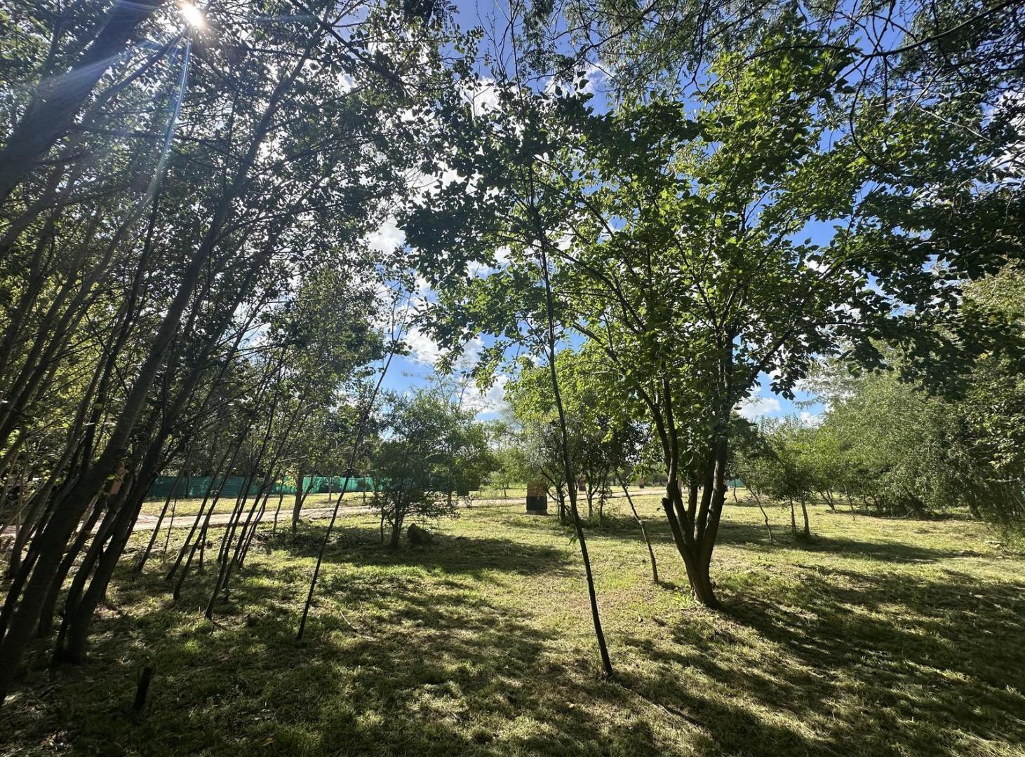 Foto de VENTA LOTE PROYECTO LOCAL RAICES 1 SAN VICENTE, imagen 4