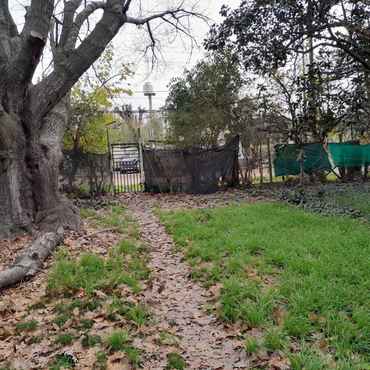 3 Lotes (Quinta) 8800 m² Casa con Caballeriza y Pileta Buena Ubicación 5