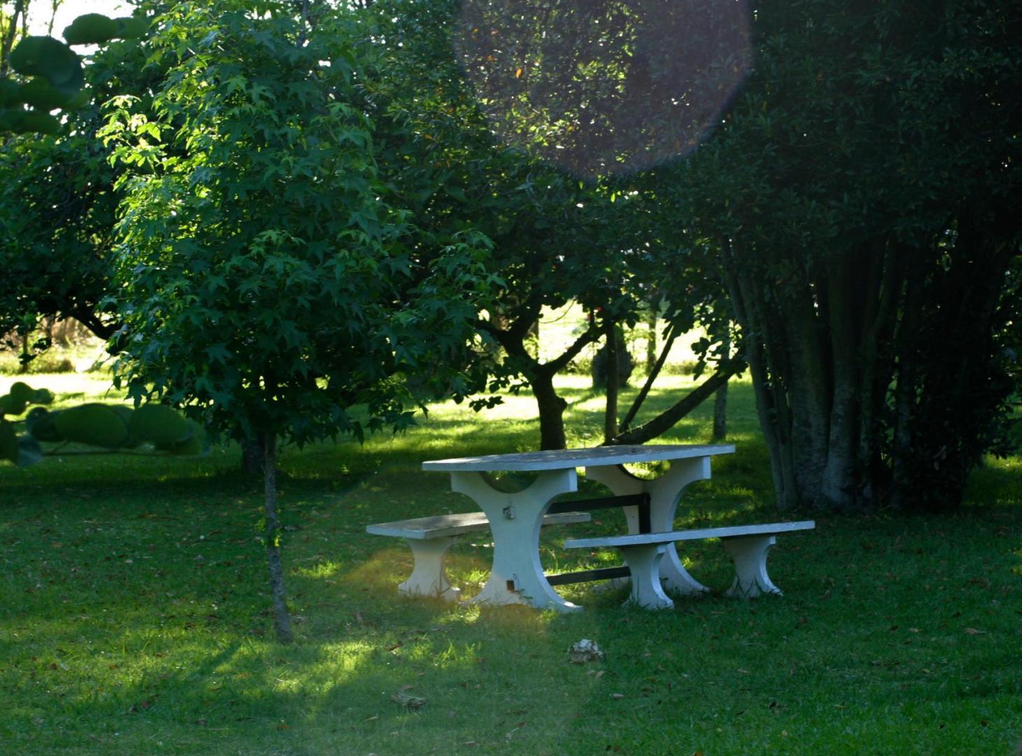 TERRENO - AÑOSA ARBOLEDA - VILLA LA RIBERA