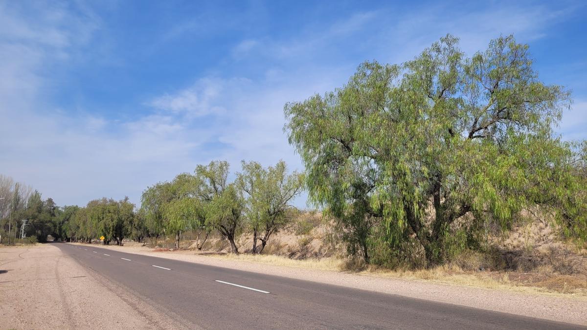 Terrenos de 4.000 m² Sobre Cubillos Camino a Valle Grande 5