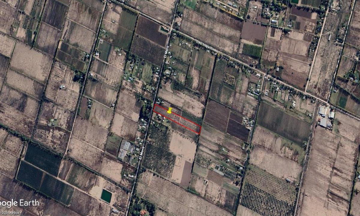 Terreno de 2 Ha en Cuadro Benegas, Sobre Calle El Moro. 4
