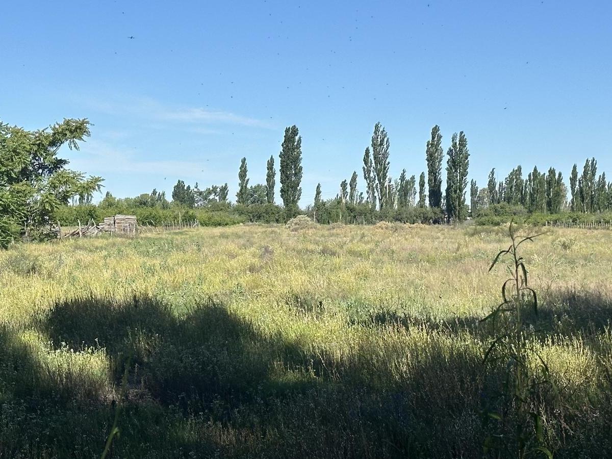 Terreno de 2 Ha en Cuadro Benegas, Sobre Calle El Moro. 3
