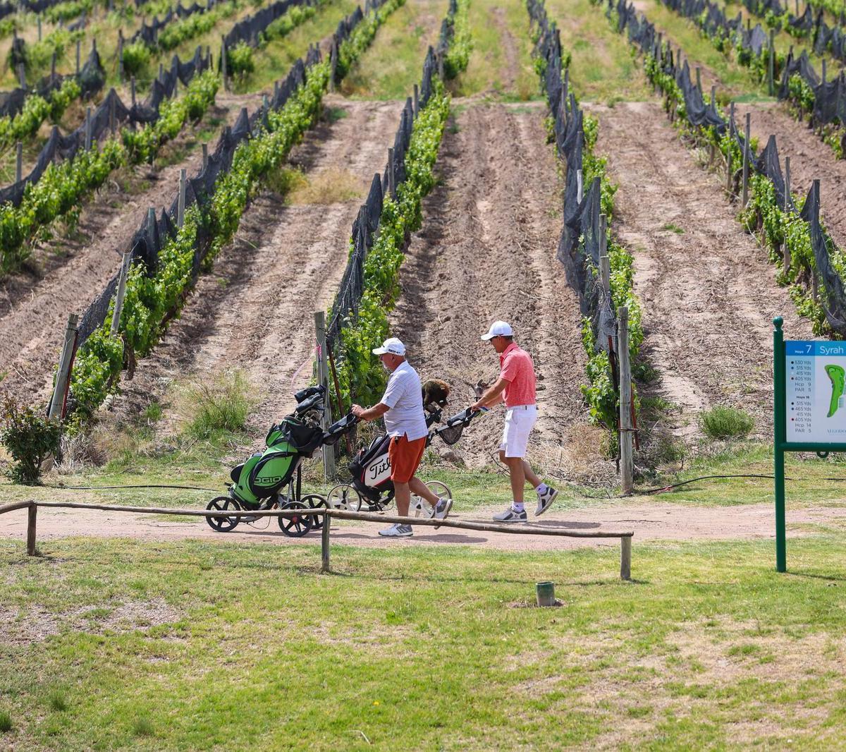 Foto de Algodon Wine Estates: Private Estances | Golf and Wine | San Rafael, imagen 5