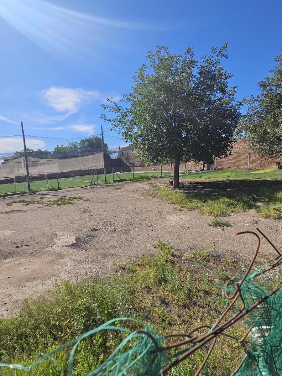 Importante Propiedad Comercial a m de Av Mitre (Ex Bodega) 4
