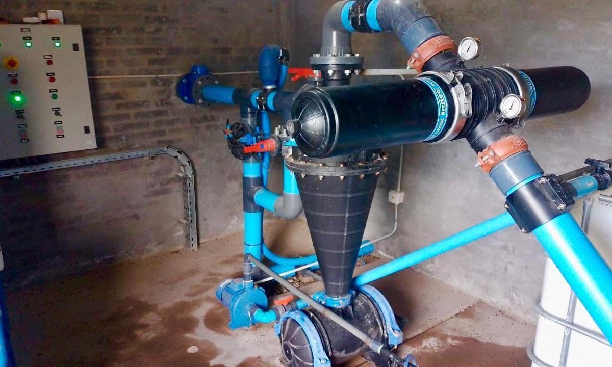 Finca Premium de Ciruelas Dagen con Infraestructura de Alta Tecnología – Cuadro Benegas – San Rafael 3