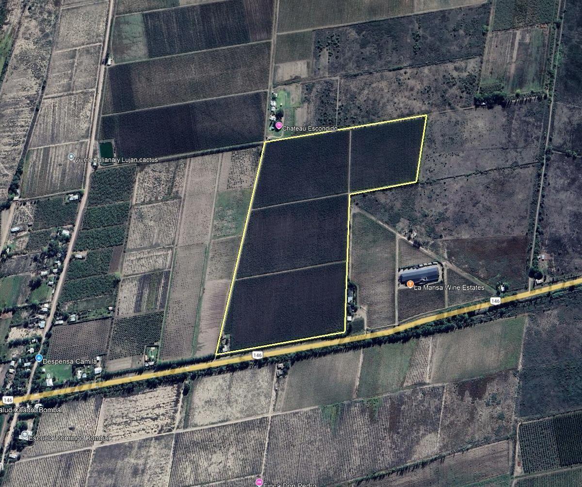 Finca de Viñedos de 24 Ha en Cuadro Bombal 3