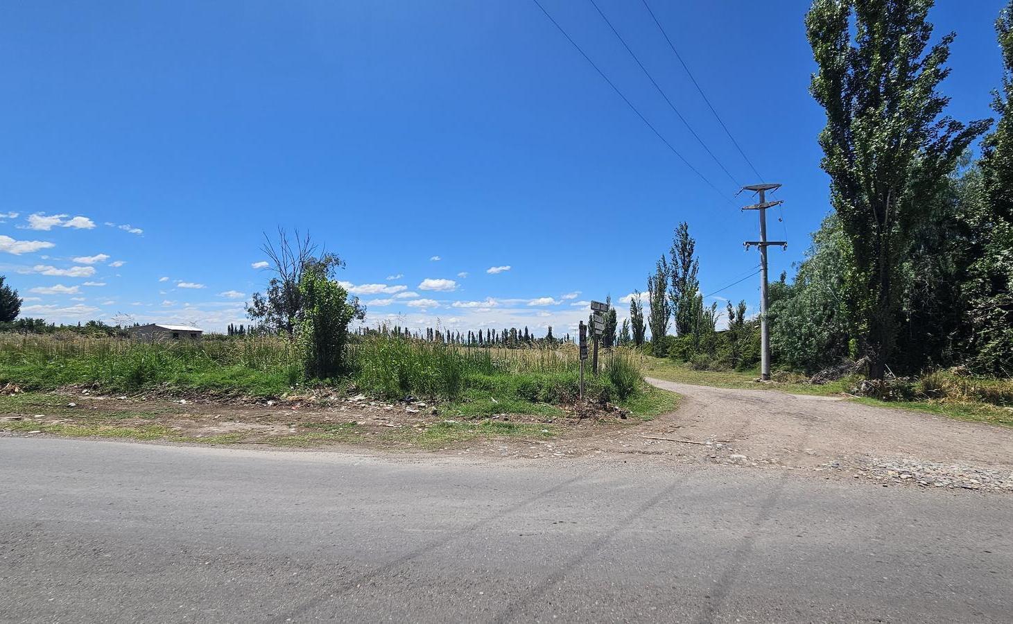 Terreno de 1.5 has. en esquina en Las Paredes - San Rafael, Mendoza