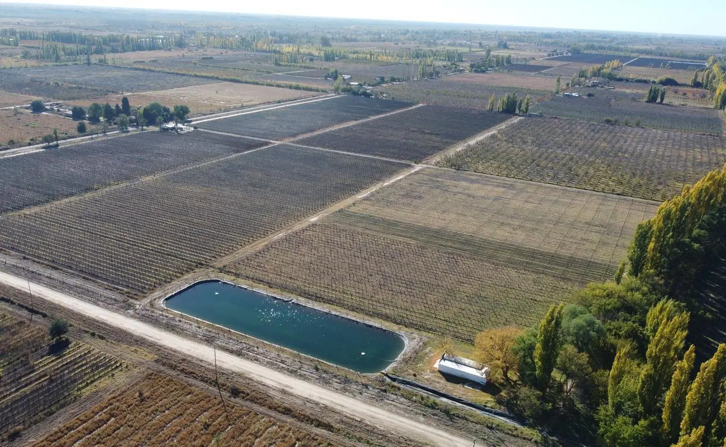 Finca de 20 hectáreas en Calle Larga - Entorno rural premium 5