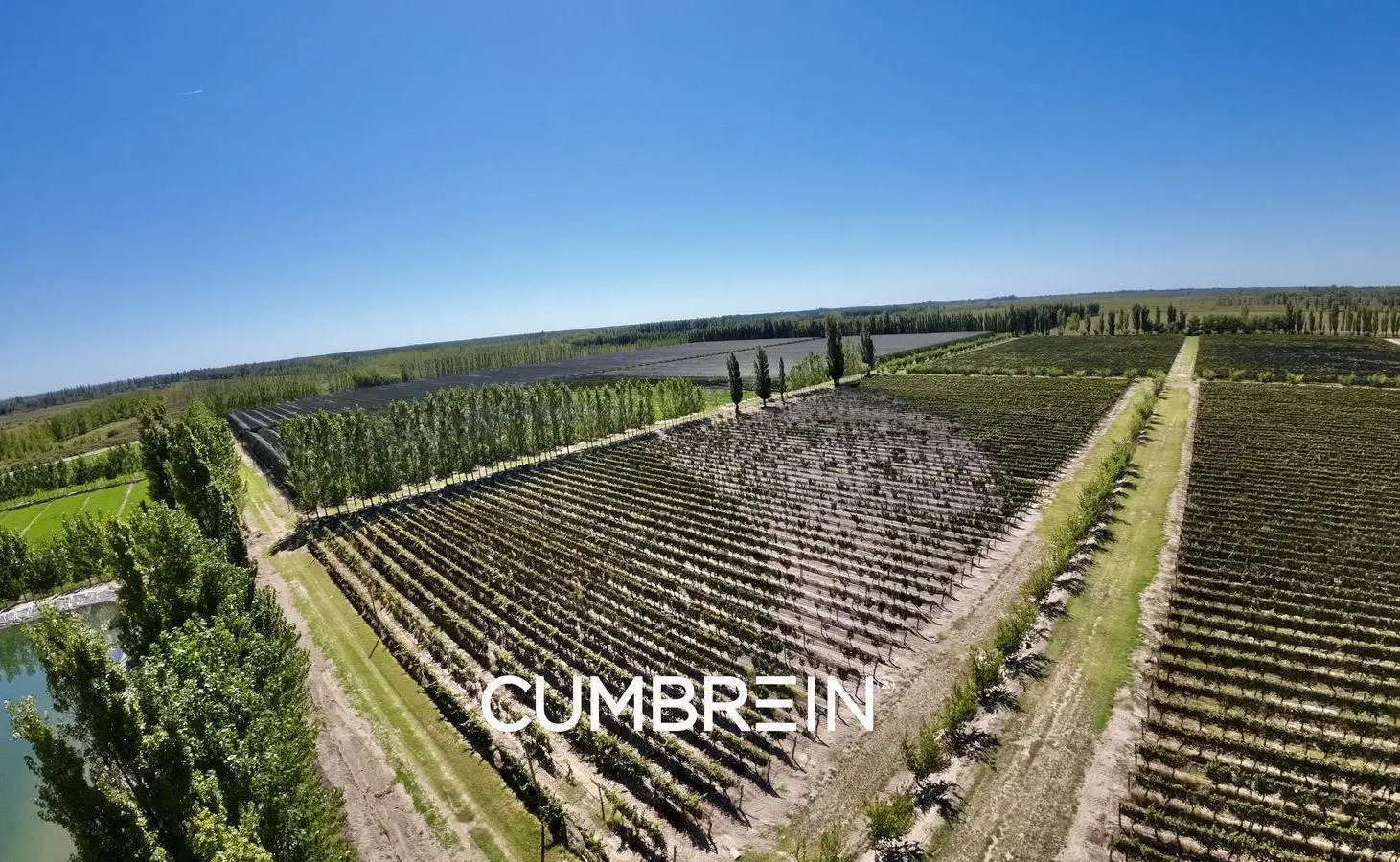 Extraordinaria finca de 83 Ha. de viñedos, durazno y alfalfa 4