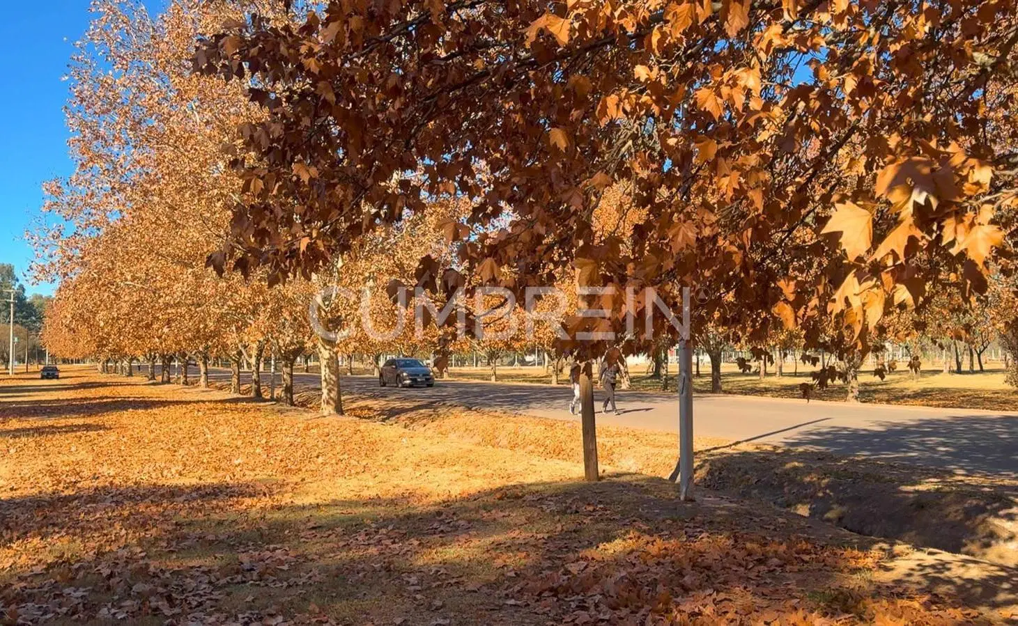 Loteo Parque Norte - Barrio Abierto en el centro de San Rafael 4