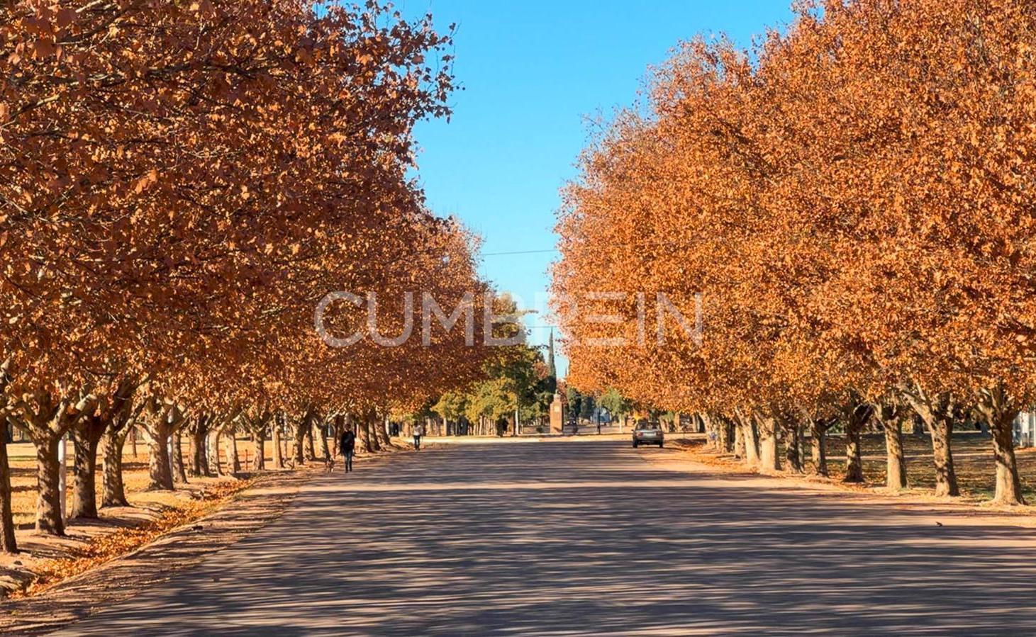 Foto de Loteo Parque Norte - Barrio Abierto en el centro de San Rafael, imagen 2