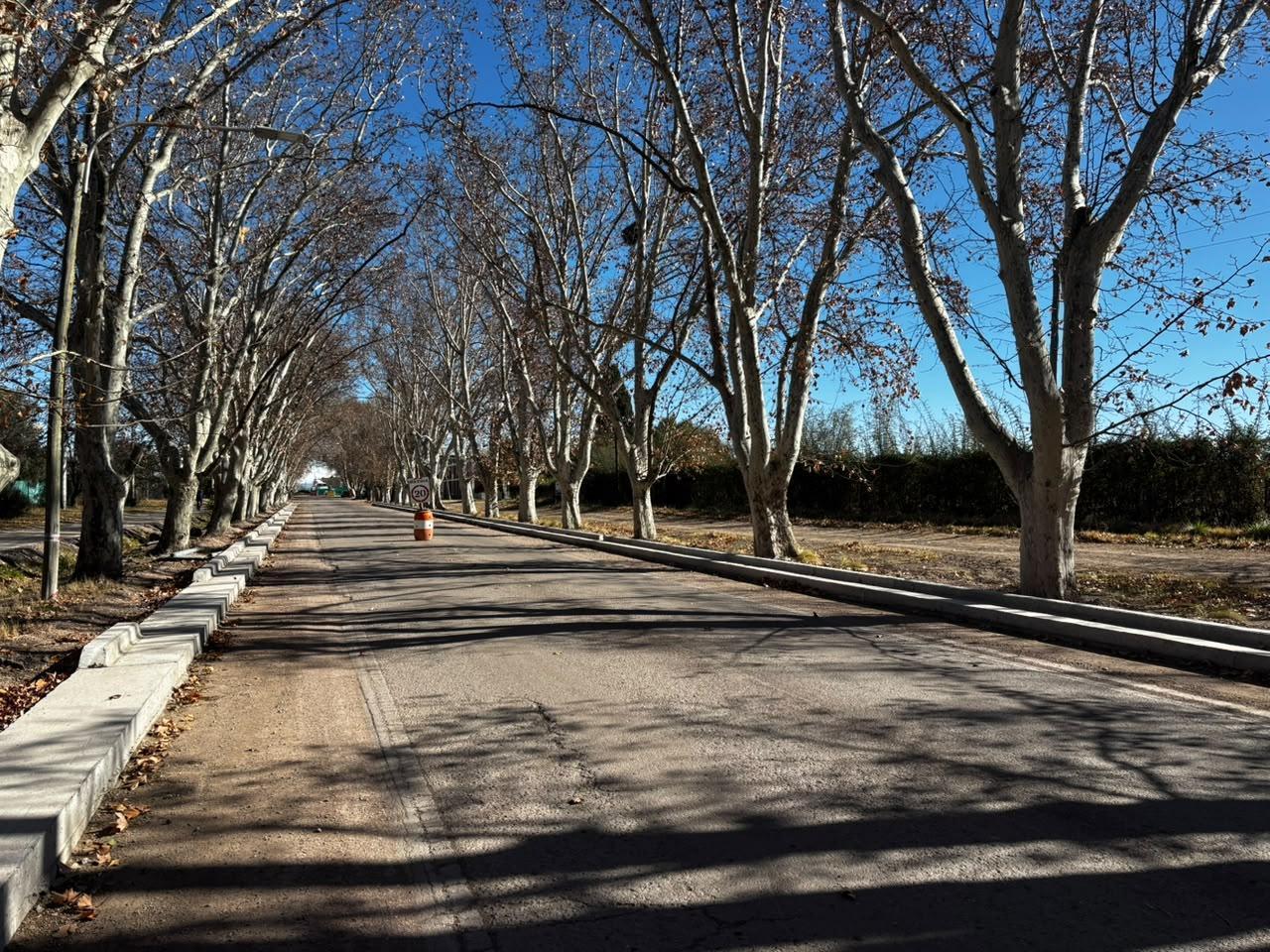 Foto de Terreno de 7.500 m2 en Av. H. Yrigoyen a Mtrs de El Toledano, San, imagen 3