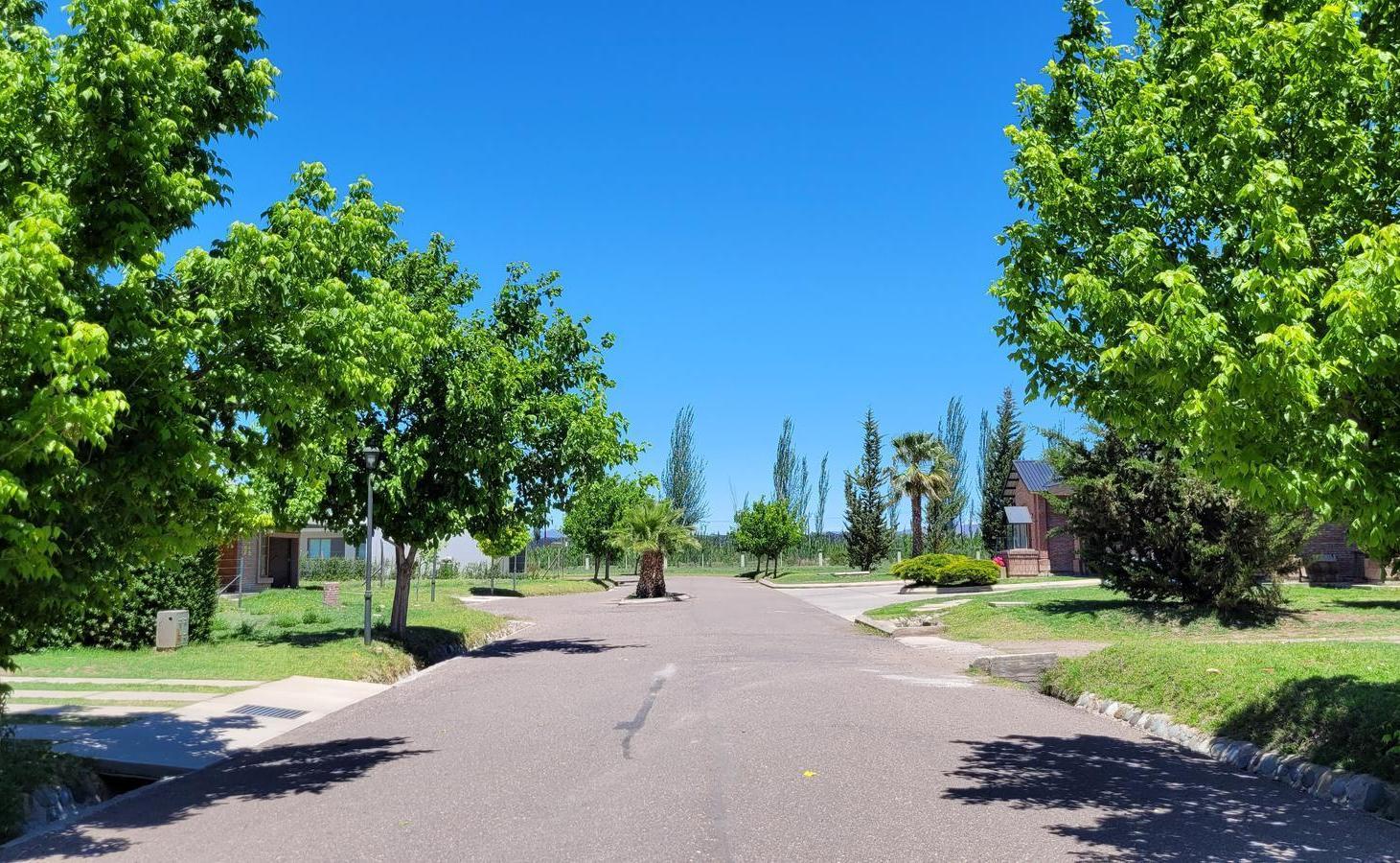 Foto de Lotes en Viñas del Sur - últimos lotes de 1er etapa, imagen 3