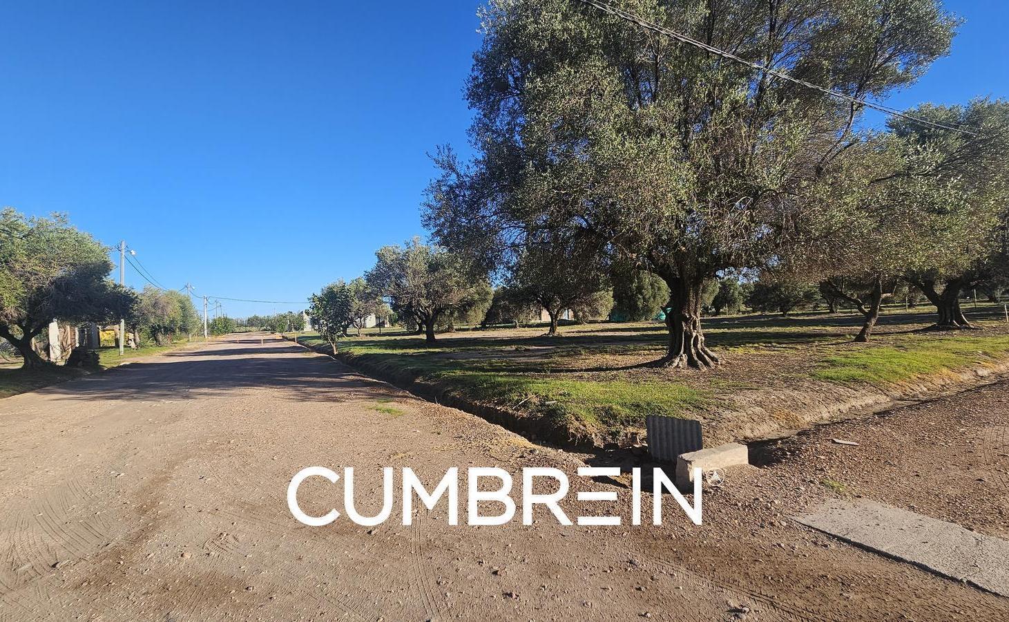 Foto de Lote B16 en Los Cardos Club de Campo | San Rafael Mendoza, imagen 2