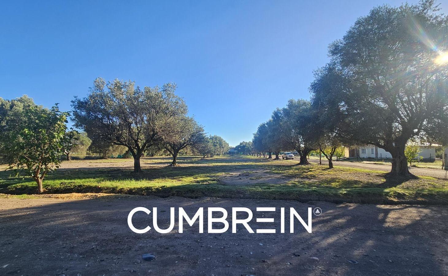 Foto de Lote B16 en Los Cardos Club de Campo | San Rafael Mendoza, imagen 4