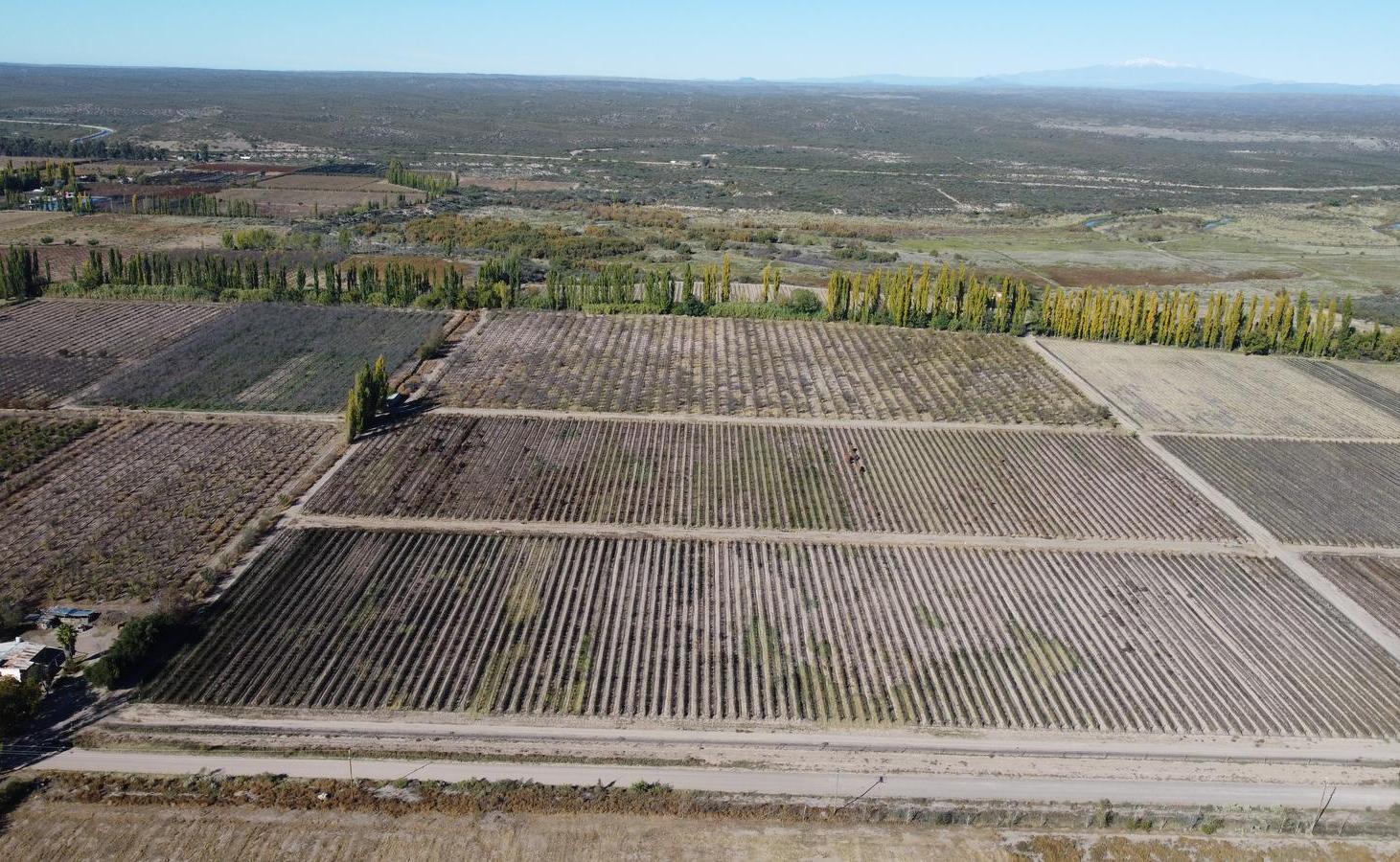 Foto de Finca de 20 hectáreas en Calle Larga - Entorno rural premium, imagen 2
