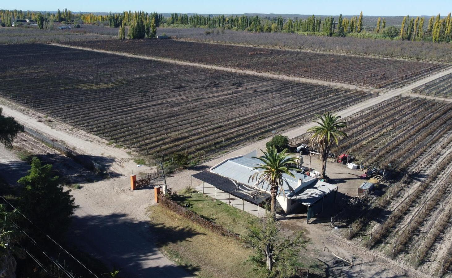Foto de Finca de 20 hectáreas en Calle Larga - Entorno rural premium, imagen 4