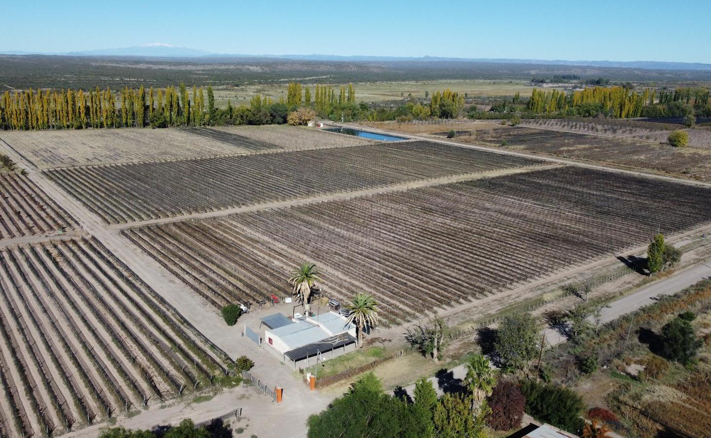 Foto de Finca de 20 hectáreas en Calle Larga - Entorno rural premium, imagen 1