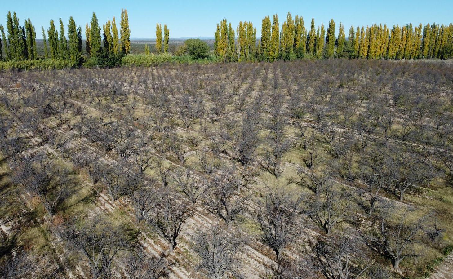 Foto de Finca de 20 hectáreas en Calle Larga - Entorno rural premium, imagen 5