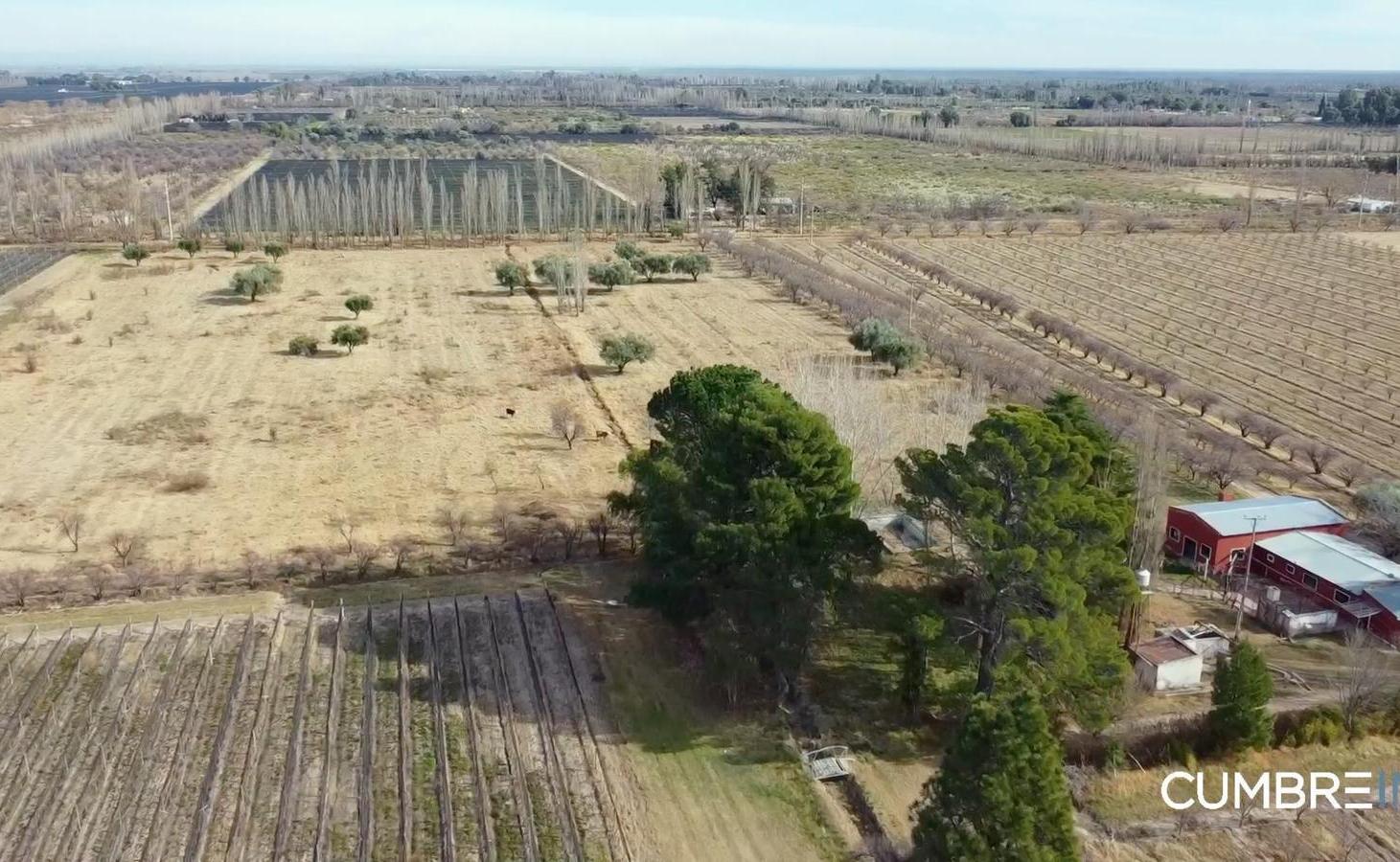 Foto de Finca agrícola de 58 hectáreas - Tabanera, San Rafael, Mendoza, imagen 3