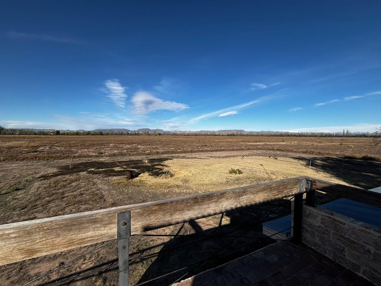 Foto de Finca de 48 hectáreas ubicada en Cuadro Benegas, San Rafael, Mendoza, imagen 3
