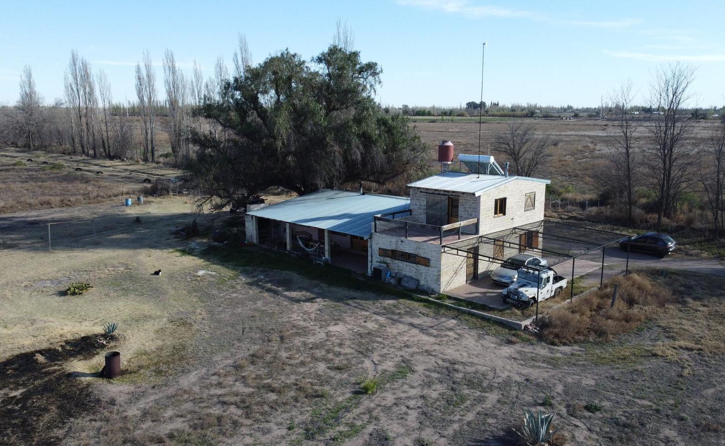 Foto de Finca de 48 hectáreas ubicada en Cuadro Benegas, San Rafael, Mendoza, imagen 5
