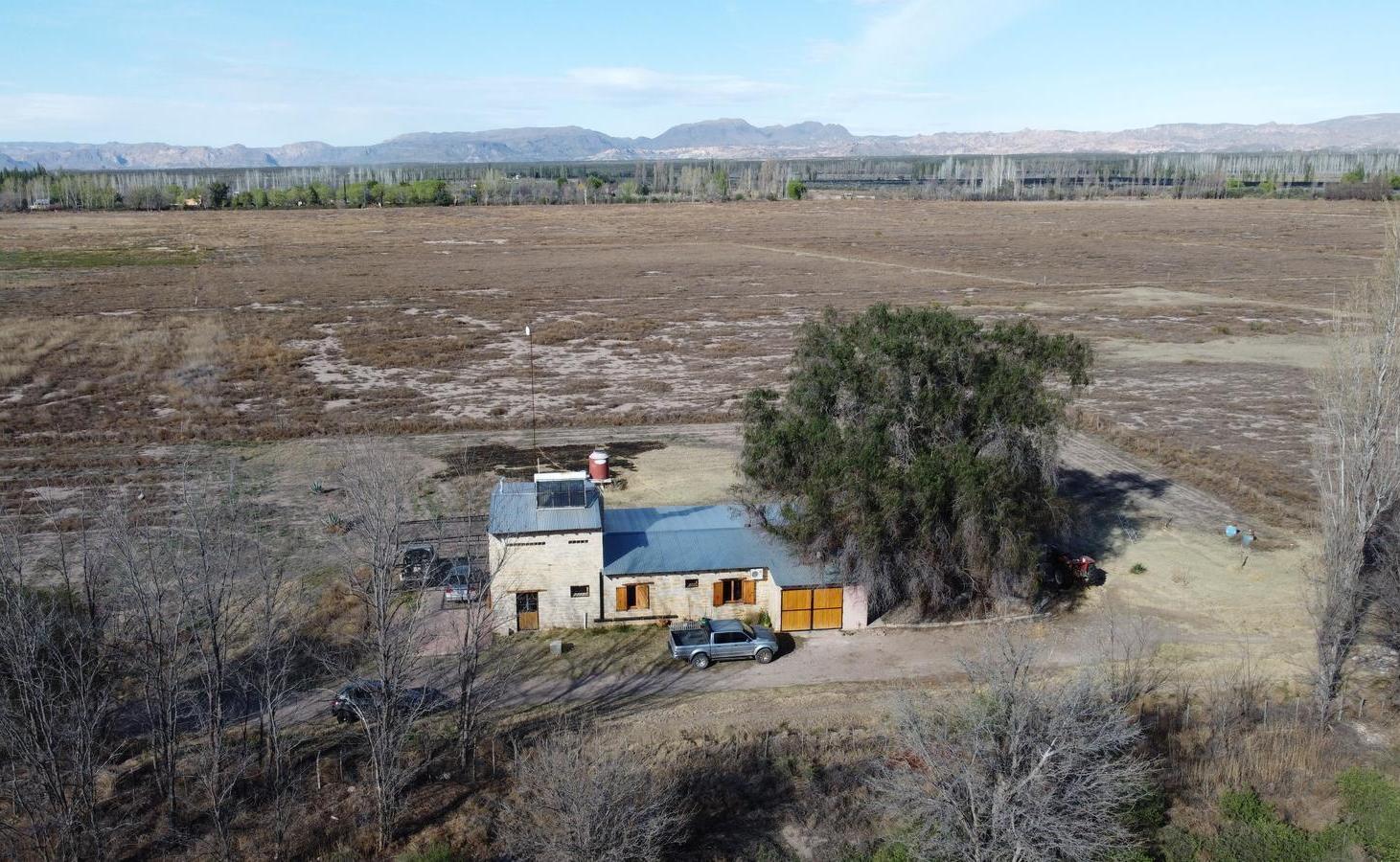 Foto de Finca de 48 hectáreas ubicada en Cuadro Benegas, San Rafael, Mendoza, imagen 2