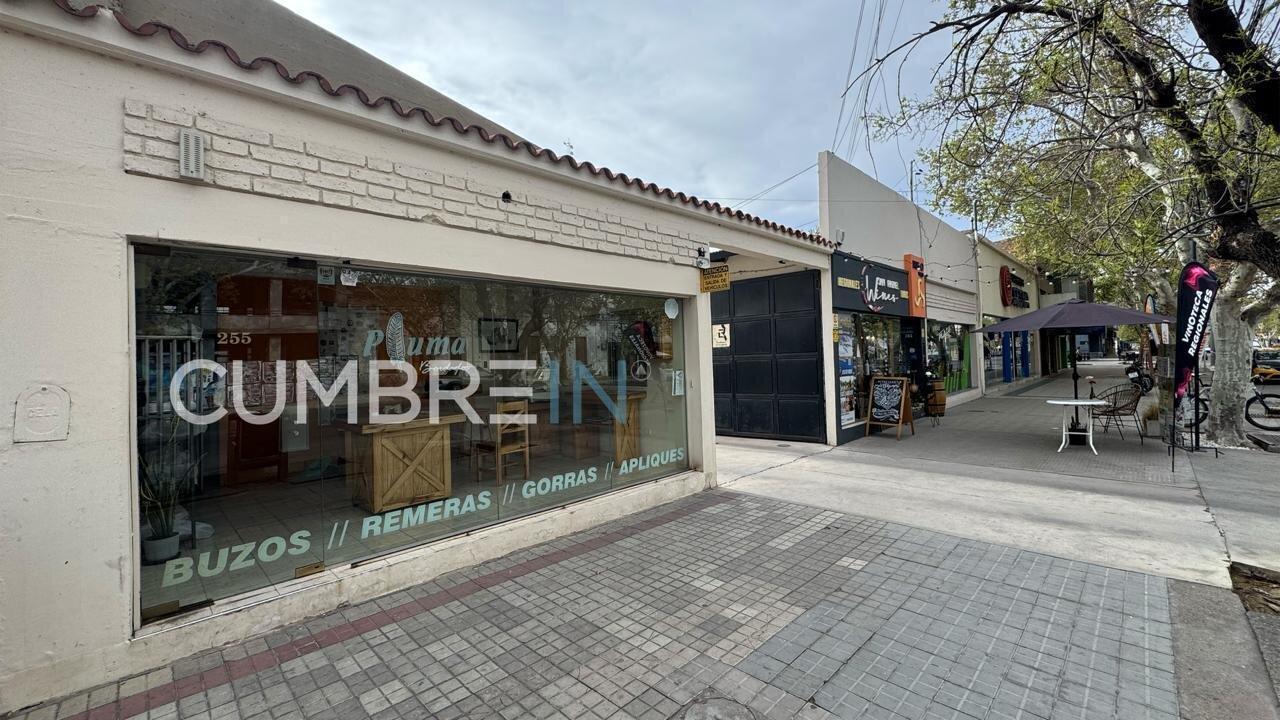 Foto de Propiedad de 1.000 m2 de terreno en Av. San Martin al 250 - San Rafael, imagen 5