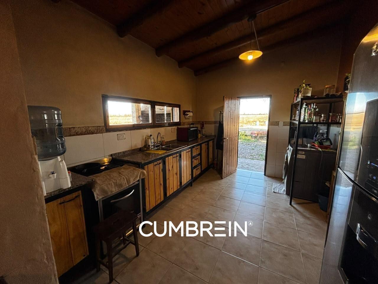 Foto de Finca de 48 hectáreas ubicada en Cuadro Benegas, San Rafael, Mendoza, imagen 3