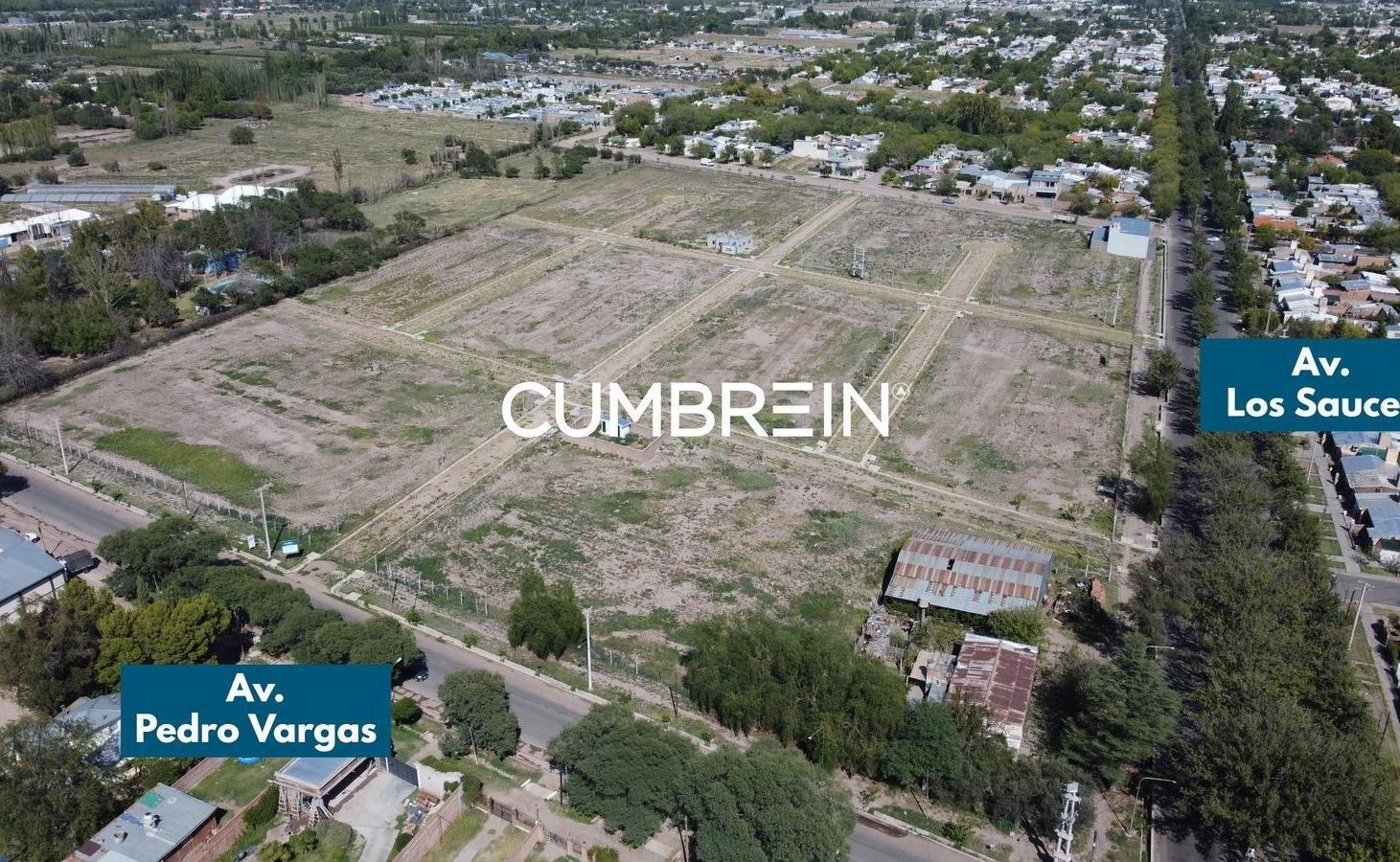 Foto de Lotes en venta en Av. Los Sauces y Av. 9 de Julio - Centro de San Rafael, imagen 1