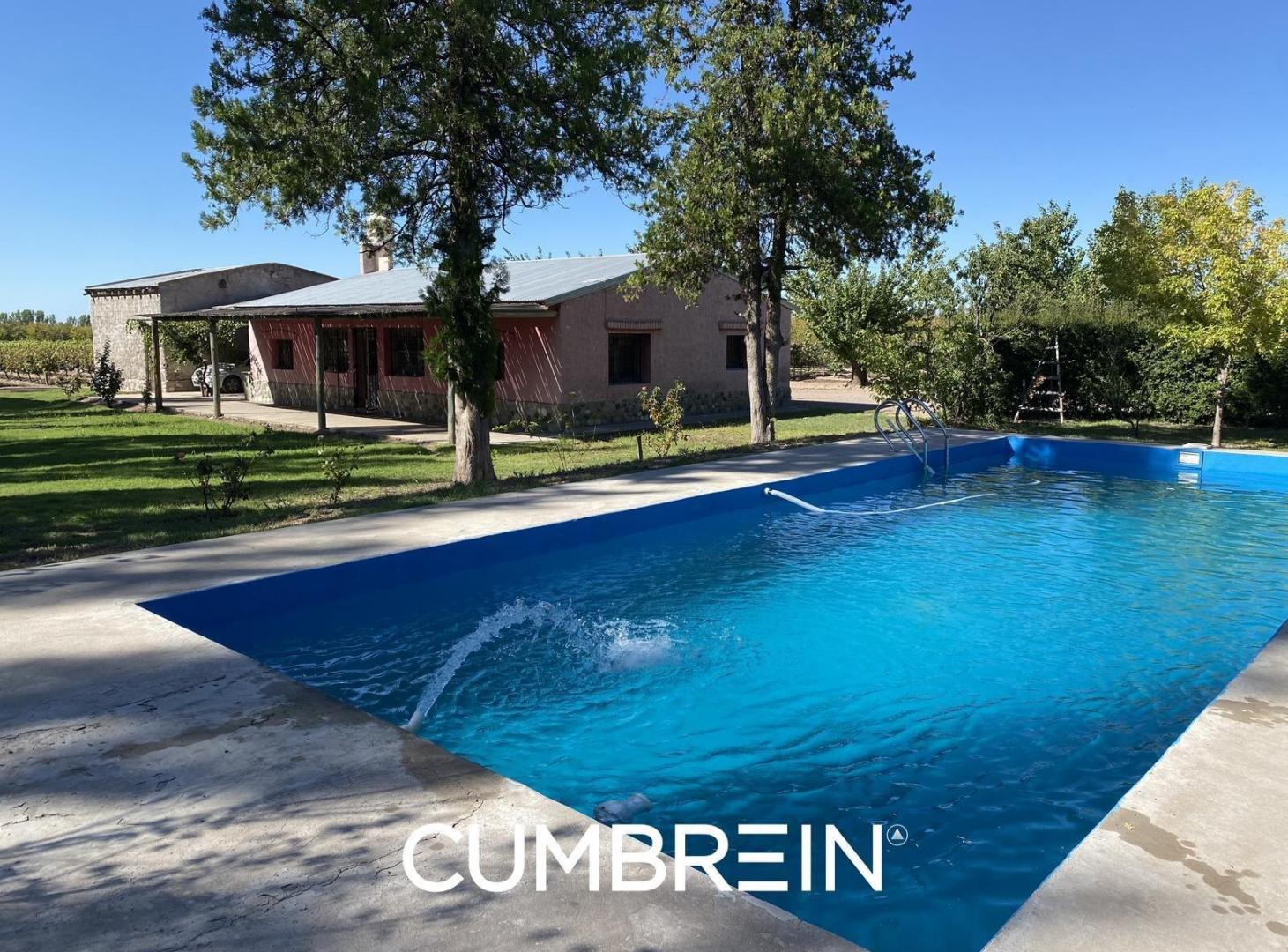 Foto de Finca de 8 Ha. de ciruelos y casa en Cuadro Benegas, imagen 2