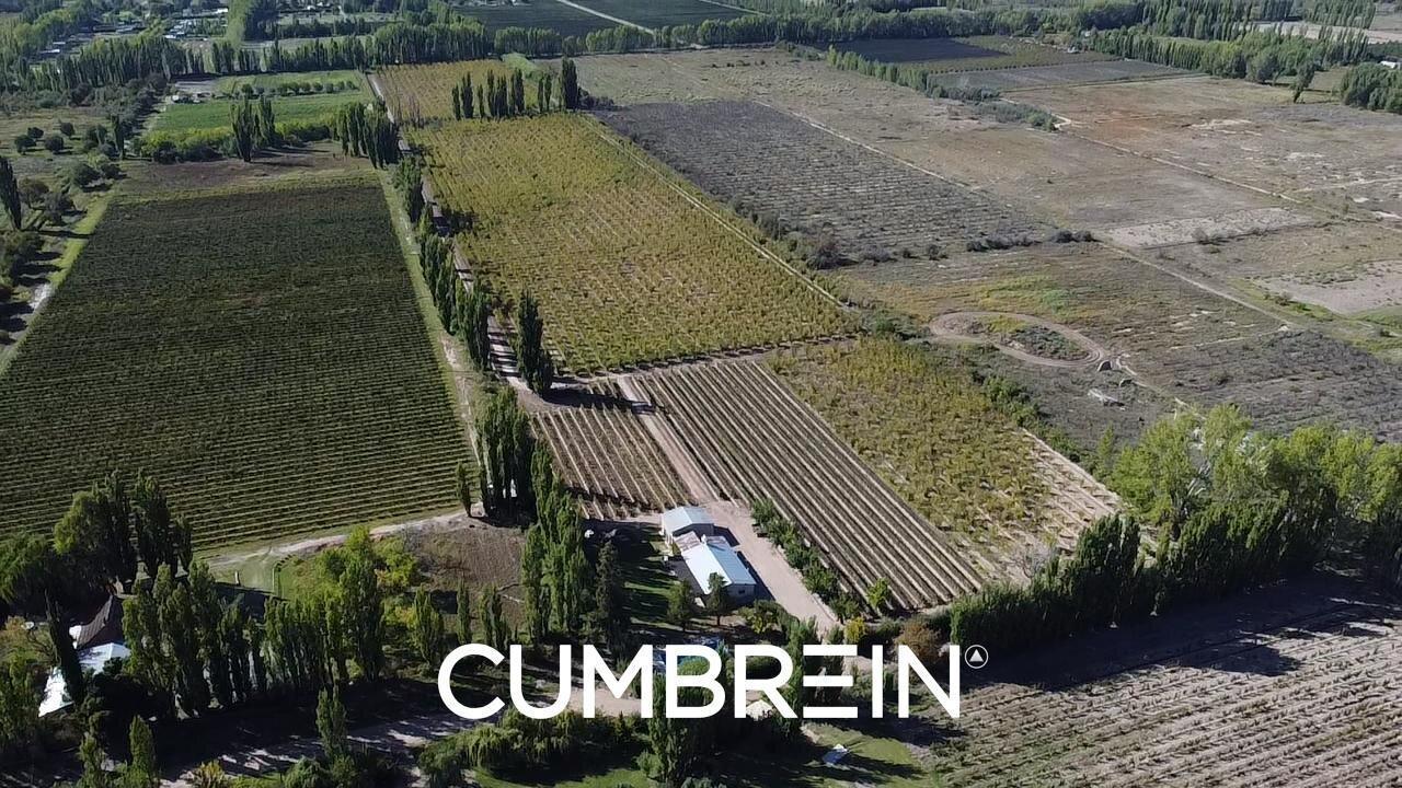 Foto de Finca de 8 Ha. de ciruelos y casa en Cuadro Benegas, imagen 5