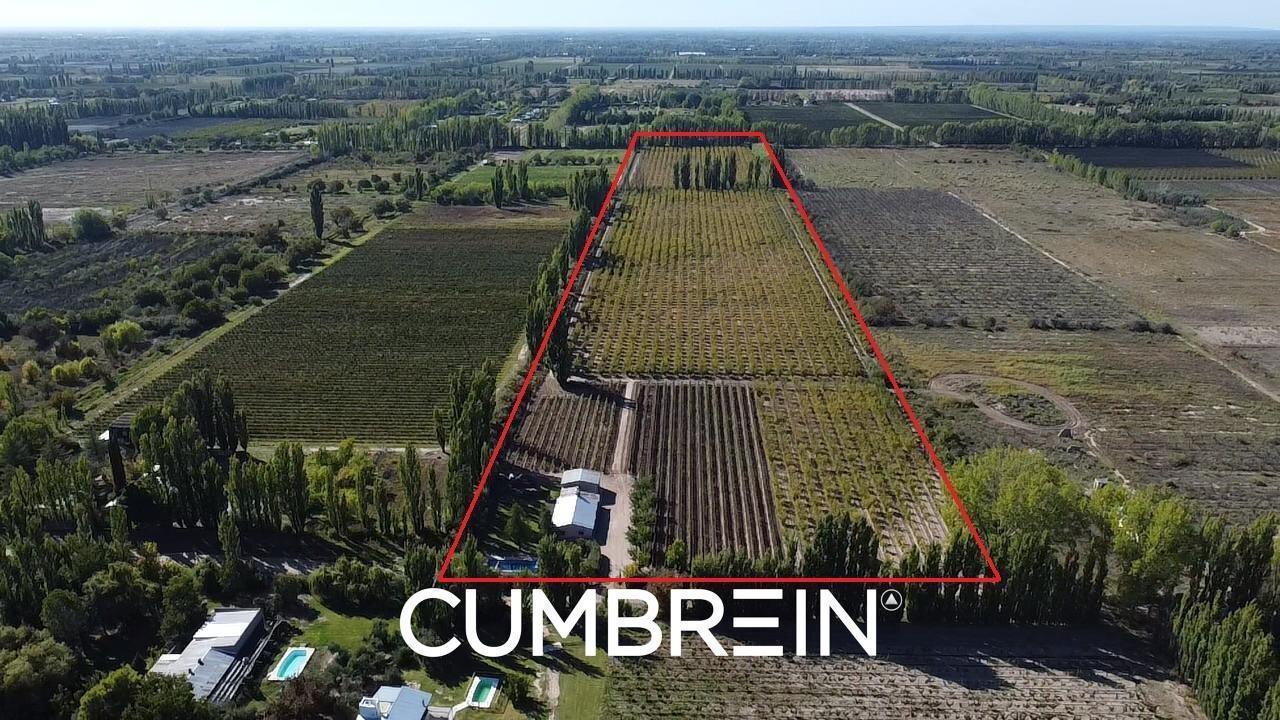 Foto de Finca de 8 Ha. de ciruelos y casa en Cuadro Benegas, imagen 3