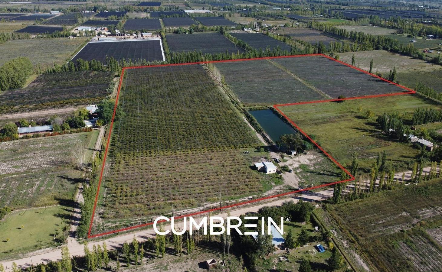 Foto de Finca de 11 Has. en Cuadro Benegas sobre calle Esmeralda, imagen 3
