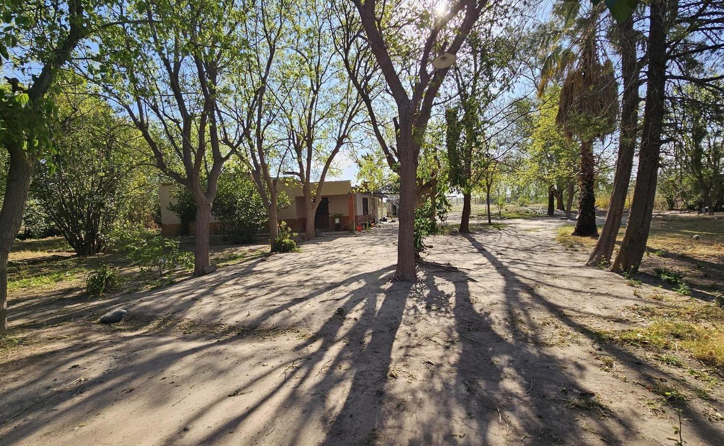 Foto de Terreno de 1 Ha en El Chañaral al lado del Círculo Médico, imagen 4