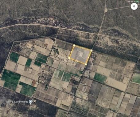 Foto de Finca 19 ha en plena producción en Cuadro Nacional, imagen 1