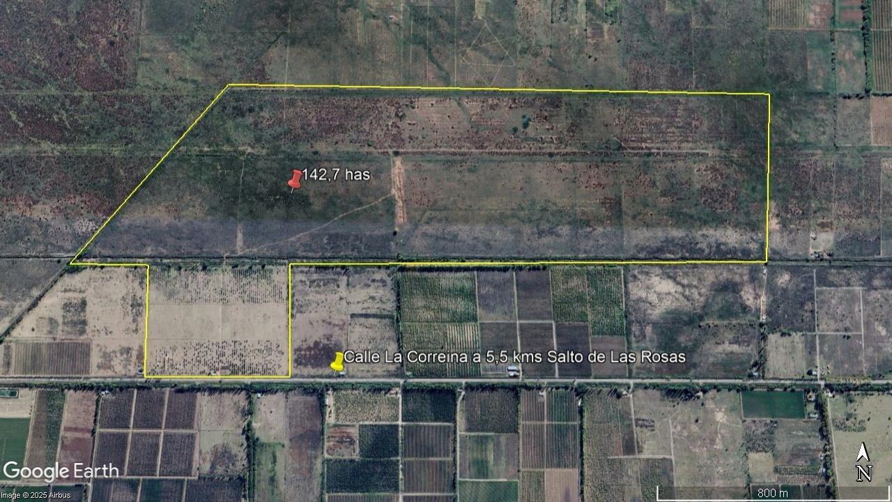 Foto de Extraordinario Campo de 142 Hectáreas sobre La Correína, Cañada Seca, imagen 1