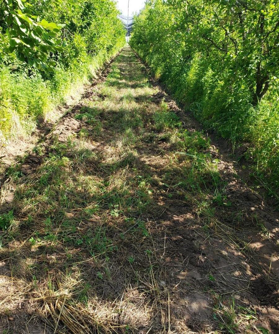 Foto de Extraordinaria Finca de 18 Hectáreas en Goudge, imagen 4
